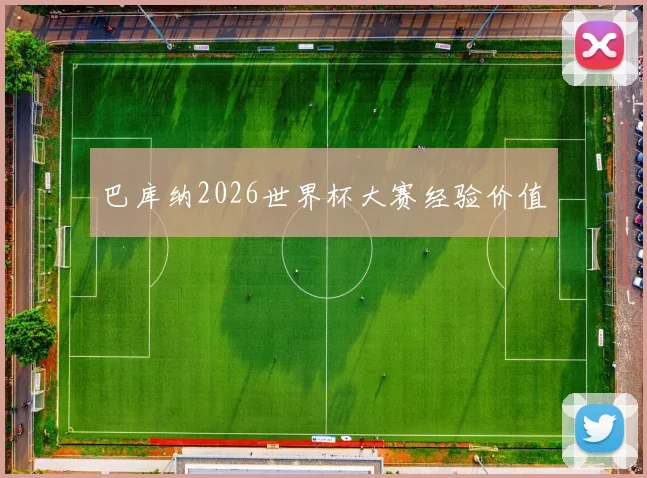 巴库纳2026世界杯大赛经验价值