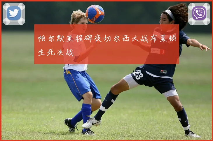 帕尔默里程碑夜切尔西大战布莱顿生死决战