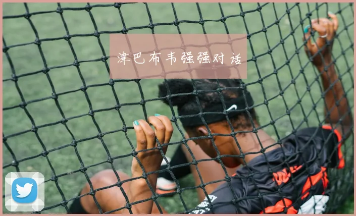 津巴布韦强强对话