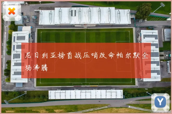尼日利亚榜首战压哨改命帕尔默全场沸腾