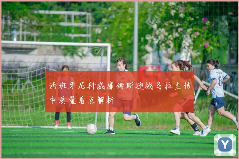 西班牙尼科威廉姆斯迎战乌拉圭传中质量看点解析